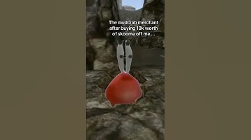 #morrowind #elderscrolls #funny #xbox