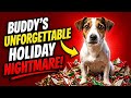 The Interview Room | Buddy's Unforgettable Holiday Memory