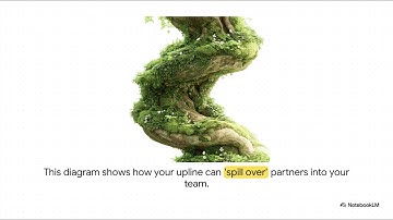 Unpacking Meta Whale T&S