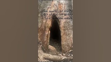 Surat Al-Mursalat (The Emissaries) With Arabic Text  | سورة المرسلات