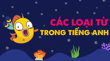 [Nhạc chế] - Các Loại Từ Trong Tiếng Anh (Aloha chế) | Cover by Elight