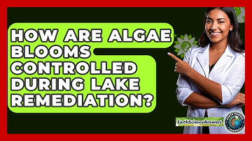 How Are Algae Blooms Controlled During Lake Remediation? - Earth Science Answers