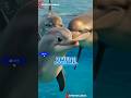 From a lost baby fish to the King of the ocean | AI Short Film #shortfilm #dolphin #motivation #film