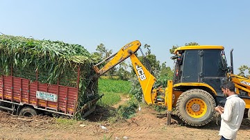 Jcb Backhoe Machine Loading Mud In Mahindra YUVO and Eicher Tractors | Jcb Video