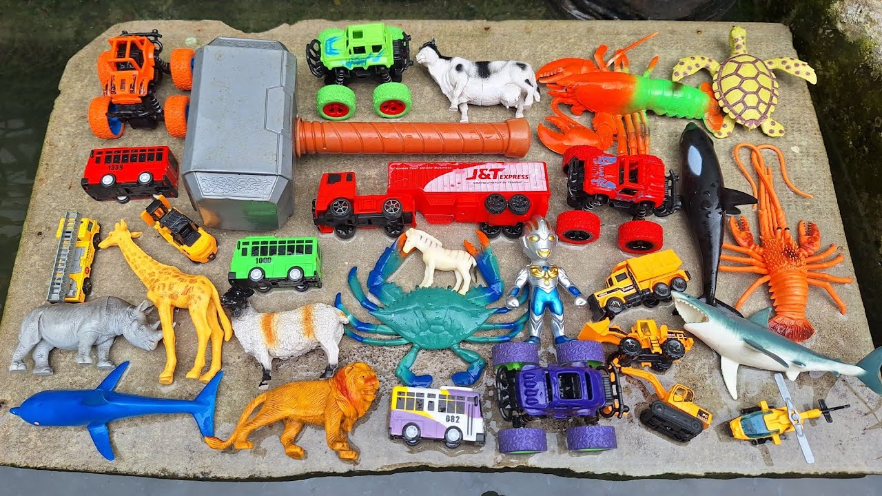 Hunting mainan hanyut mengambang berserakan di kolam, dapat truk,mobil mobilan,singa,sapi,lobster