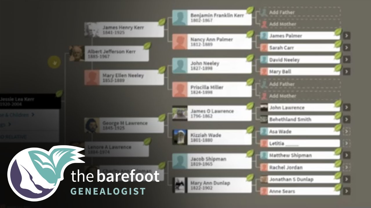 Large Genealogy Wall Charts