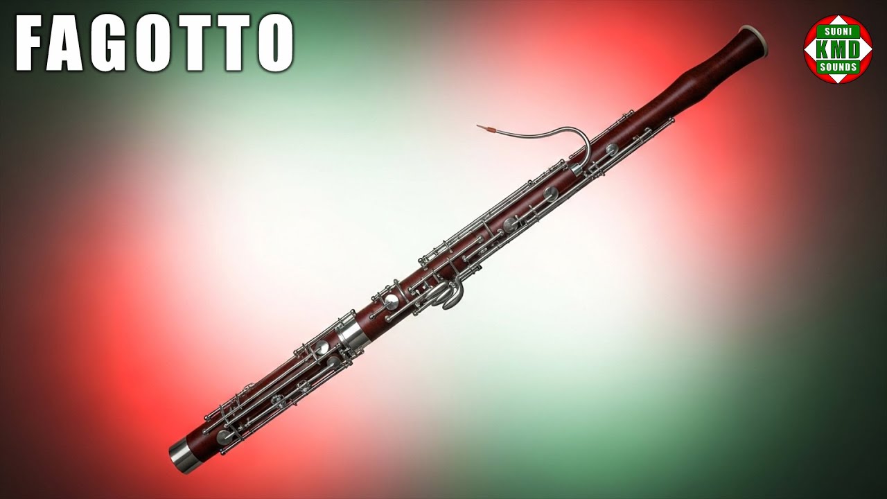 Il suono del Fagotto: Il vero suono caldo e profondo – SUONI DI STRUMENTI 🎵