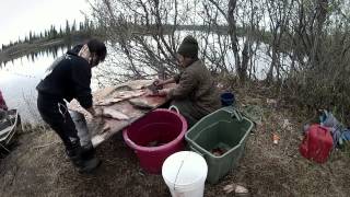 Life Below Zero