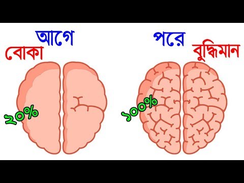 ভিডিও: FNP 