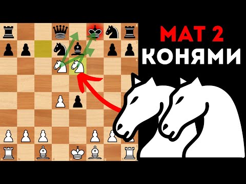 Мат двумя конями за 14 ходов в Латышском гамбите. Шахматы