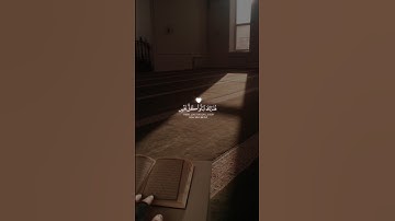 هُنَالِكَ تَبْلُواْ كُلُّ نَفْسٍۢ | سورة يونس القارئ عبدالرحمن مسعد #قرآن