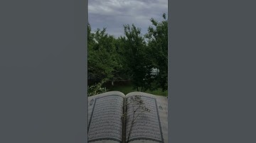{وَلَا تُصَعِّرۡ خَدَّكَ لِلنَّاسِ وَلَا تَمۡشِ فِی ٱلۡأَرۡضِ مَرَحًاۖ }سورة لقمان#القرآن_الكريم#yt