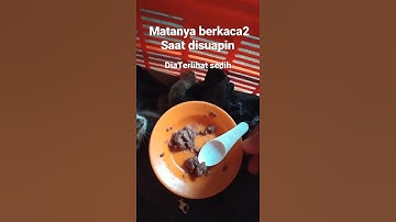 Anak Kucing lumpuh,terlihat sedih saat disuapin.Semoga lekas sembuh dari penyakit lumpuhnya kasihan😿
