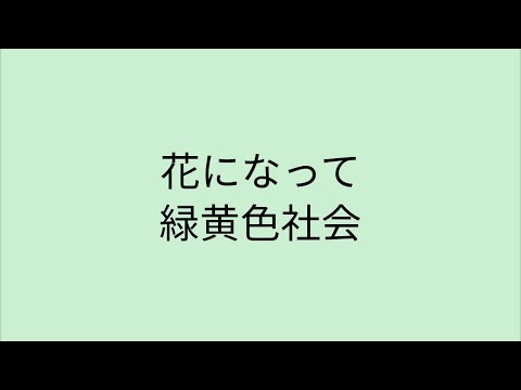 【歌詞付き】 花になって - 緑黄色社会
