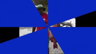RockCod1.wmv