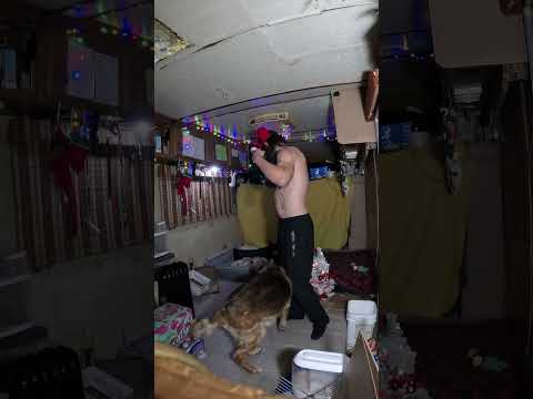 Festive Fella Animallovers Christmas Muscles Flex