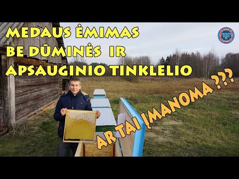 Video: Medaus žiedai