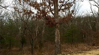405  Mark Twain Loop , Union MO 63084 - Real Estate - For Sale -