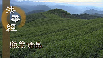靜思妙蓮華 證嚴法師講述 法華經藥草喻品第五 867 927集 Youtube