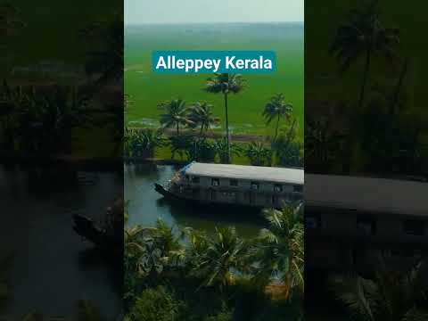 Video: Alleppey un Kerala Backwaters Houseboat ceļvedis