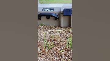 Matthews phase 4 😍 #archery #archerylife #archerytag #hunting #fieldarchery #deer