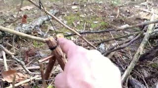 Survival trapping - The balanced trigger system.