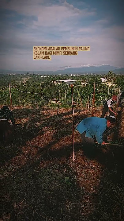 aku lelah tuan krabb#petanimudaindonesia
