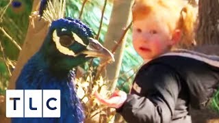 Mimi Gets A Dancing Lesson From A Peacock | Toddlers And Tiaras