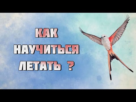 Как научиться летать? Обзорный летсплей настольной игры Крылья (цифровая версия Wingspan)