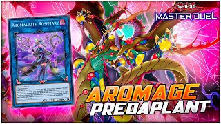 The Best Card To Play With? Aromage Aroma Predaplant Deck Yu-Gi-Oh Master Duel