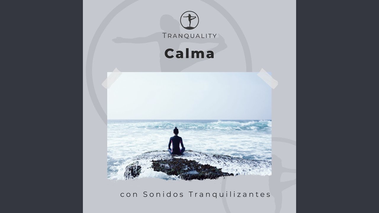 En la Luz del Bosque YouTube