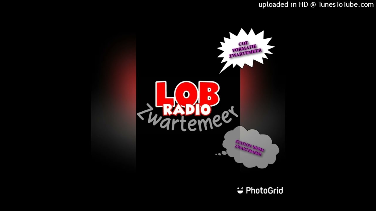 Disco Henkie - Boertien Uit Hollandscheveld