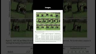 Video Analysis &amp; Understanding: Tracking Anything with Decoupled Video Segmentation
