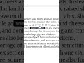 I found a funny Google Docs bug