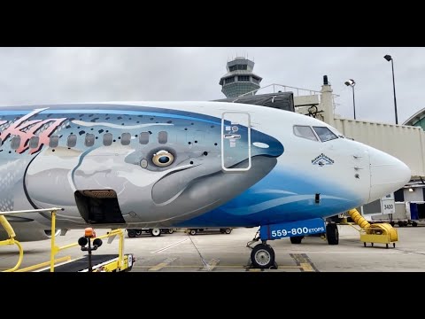 (4K) 2 Hours of Plane Spotting, Watching Airplanes Landing and Takeoff, Etc. Chicago O'Hare Airport