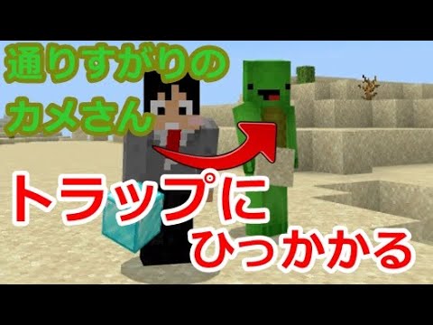 【マイクラ】日本一有名なカメさんが100パーセントひっかかりそうなトラップ【コマンド】