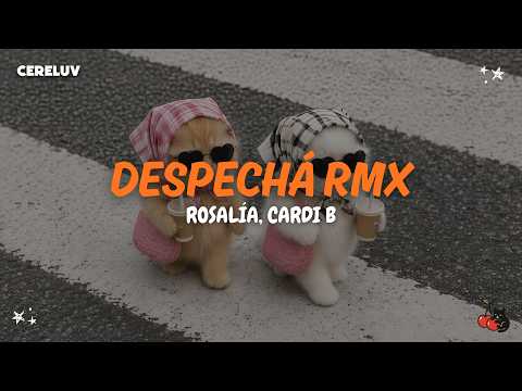 Rosalía, Cardi B - Despechá RMX (Lyrics)