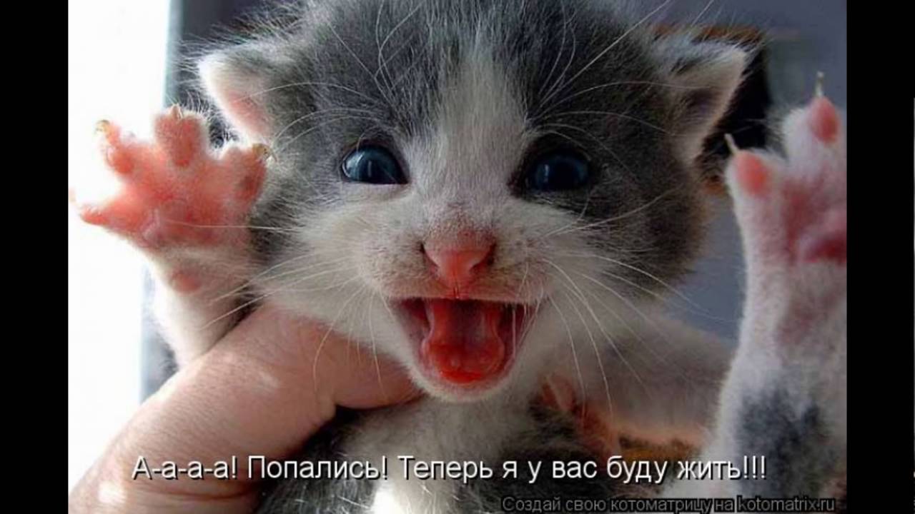 Фото Ну Очень
