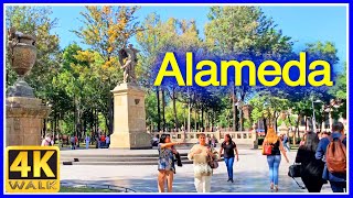 4K WALK ALAMEDA Hiking MEXICO CITY CDMX slow tv TRAVEL Vlog