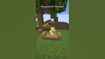 Day 22 Of Placing One Block For EVERY Follower #challenge #challenge #pobfef