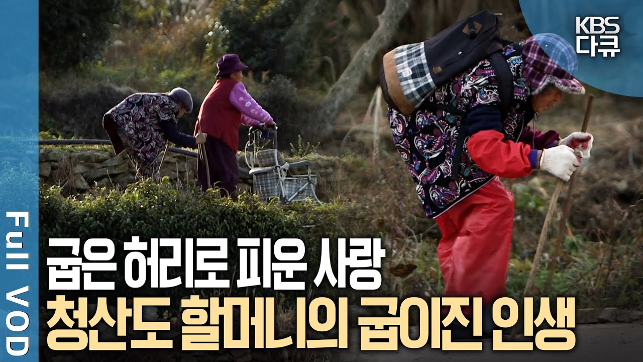 척박한 땅, 청산도. 그곳에서 억척스러운 삶을 살아온 꼬부랑 할머니들! 그 시절, 우리를 안고 키워낸 굽이진 인생 이야기 | 다큐 공감 | KBS 20141206 방송