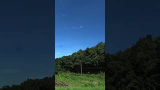 森とDECMO（JR北海道H100形）９月の根室線にて