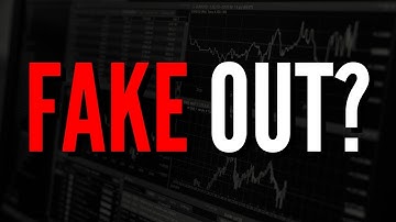 What is a DEAD CAT BOUNCE?!