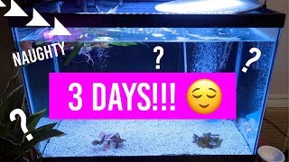 Guess What? 3 Days!!!