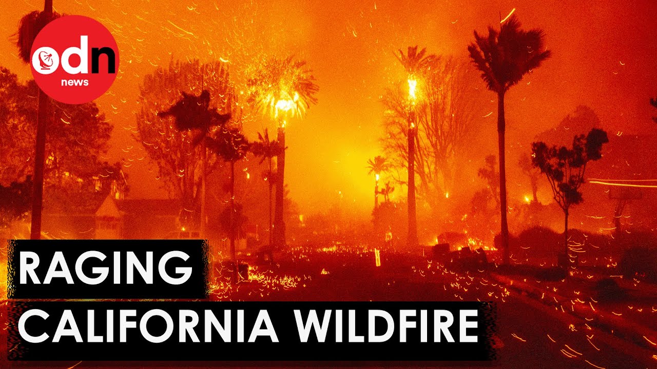 Terrifying Footage Shows California Wildfire Ripping Through Los