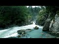 【自然の音と映像】自然　美しい川の音　絶景の渓谷・渓流   1時間  Relaxing Nature Sounds １h