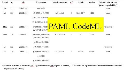 PAML Codeml # phylogenetic analyses of DNA using maximum likelihood #Newick tree #Positive selection
