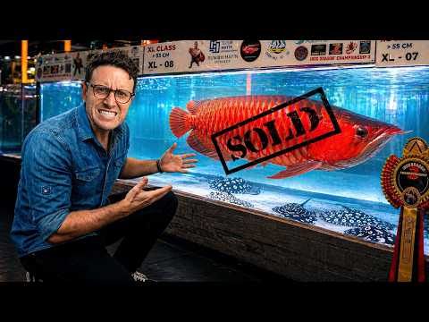 Indonesian Fish