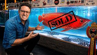 Indonesia Is Selling $100,000 Fish to China's Ultra Rich