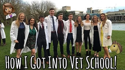 HOW I GOT INTO VET SCHOOL